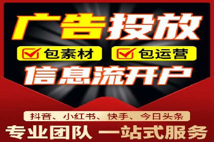 SEM广告投放策略：成功案例解析
