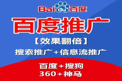 SEM公司案例研究：数据驱动营销策略